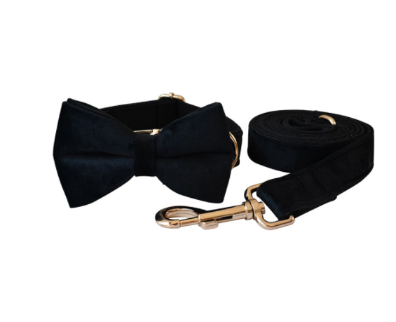 Black with Rose Gold Bow Tie, Collar and Leash Set