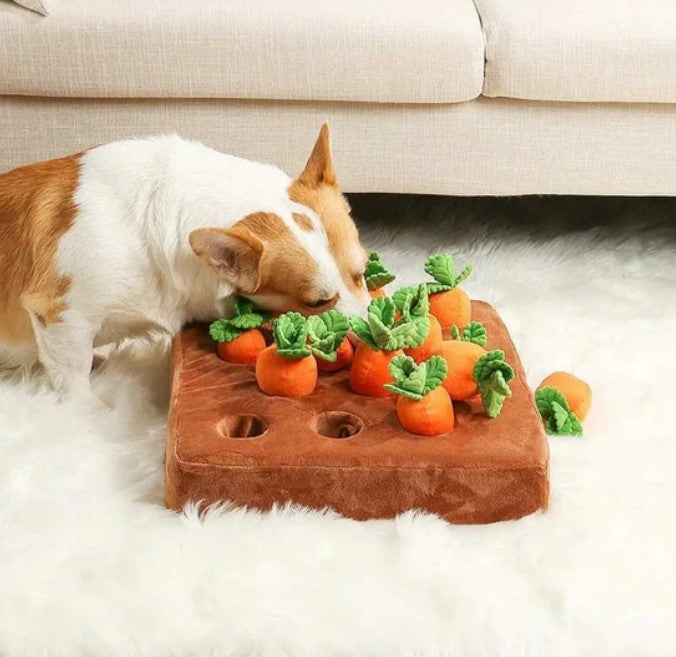 Carrot Farm Treat Puzzle Toy