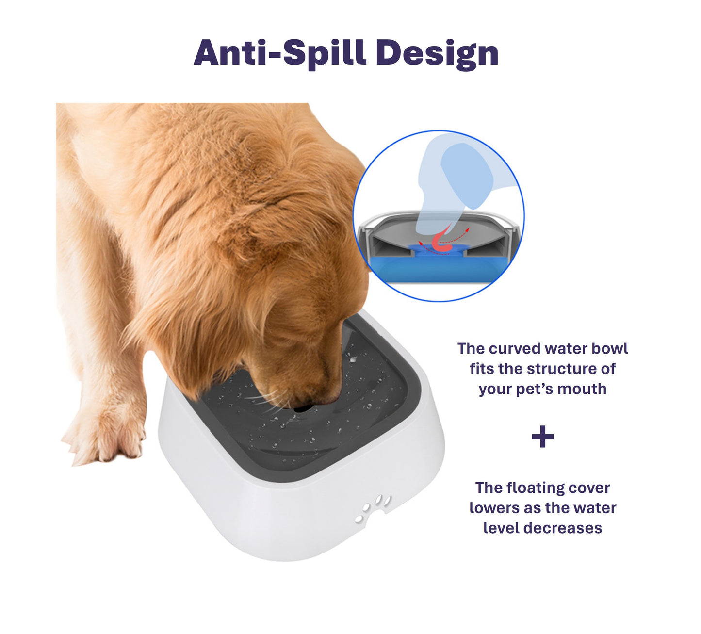 Splash-Proof Water Bowl